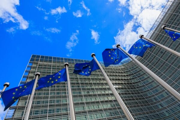 EU flags
