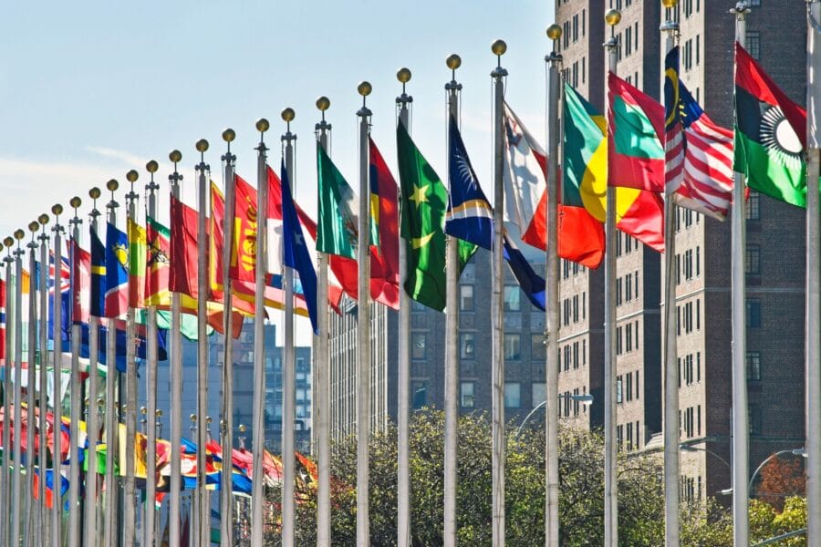 UN flags